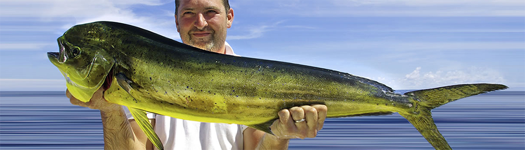 Fishing Icon