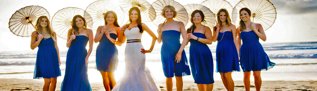 Princess Weddings Icon